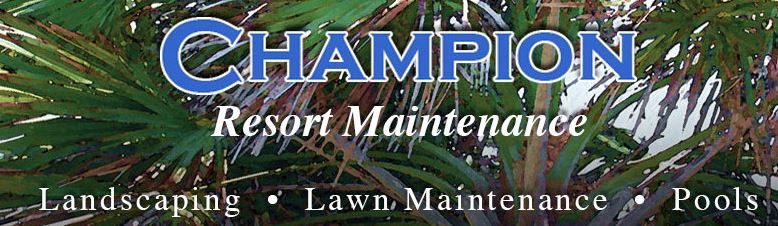 Champion Pools and Spas Inc.